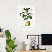  botanische illustratie poster (Thuiskantoor)