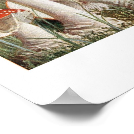 botanische illustratie poster (Hoek)