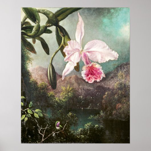  botanische illustratie poster (Voorkant)