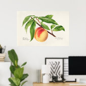  botanische illustratie poster (Thuiskantoor)