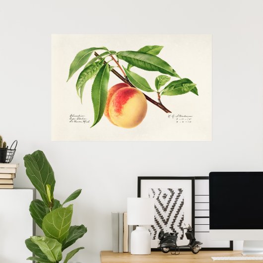  botanische illustratie poster (Thuiskantoor)