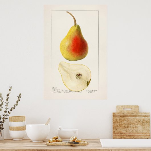  botanische illustratie poster (Keuken)