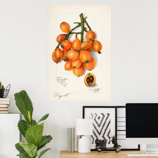  botanische illustratie poster (Thuiskantoor)