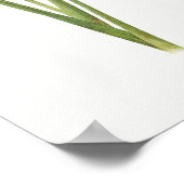  botanische illustratie poster (Hoek)