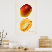  botanische illustratie poster (Keuken)