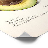  botanische illustratie poster (Hoek)