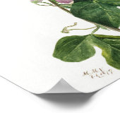  botanische illustratie poster (Hoek)