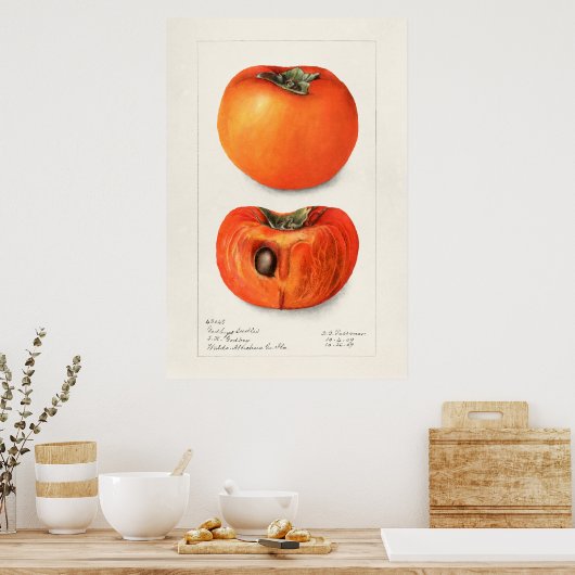  botanische illustratie poster (Keuken)