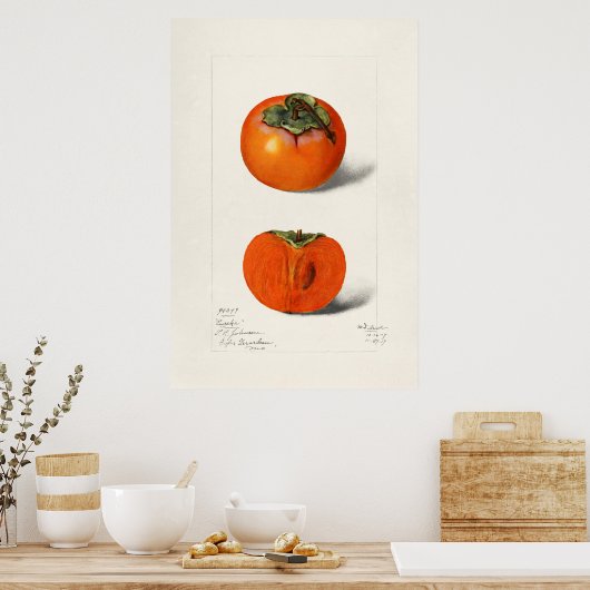  botanische illustratie poster (Keuken)