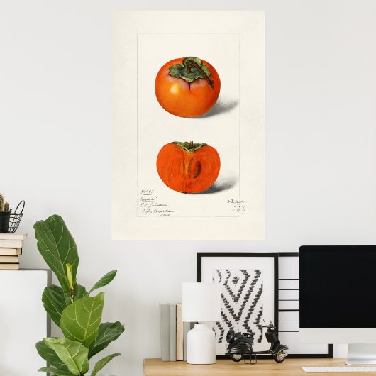  botanische illustratie poster (Thuiskantoor)