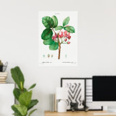 botanische illustratie poster (Thuiskantoor)