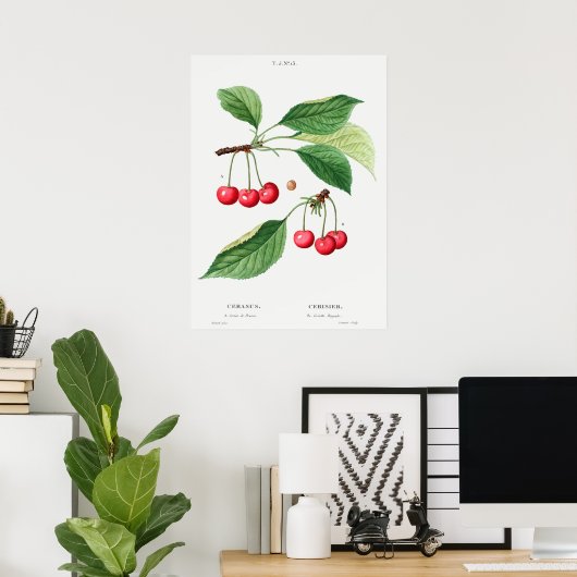  botanische illustratie poster (Thuiskantoor)