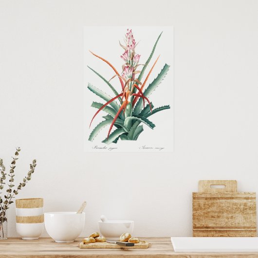  botanische illustratie poster (Keuken)
