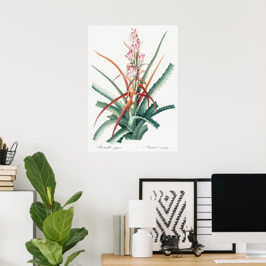  botanische illustratie poster (Thuiskantoor)