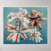  botanische illustratie poster (Voorkant)