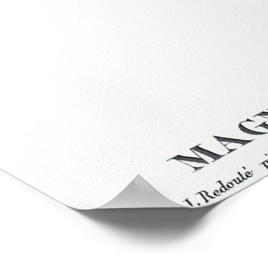  botanische illustratie poster (Hoek)