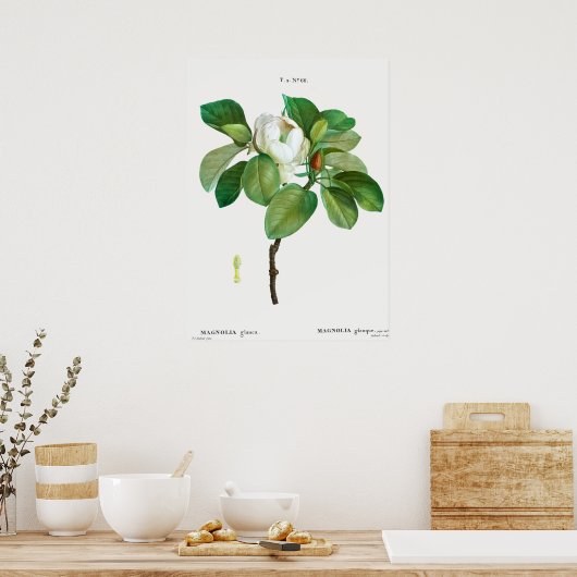  botanische illustratie poster (Keuken)