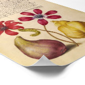  botanische illustratie poster (Hoek)