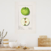  botanische illustratie poster (Keuken)