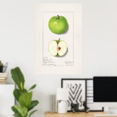  botanische illustratie poster (Thuiskantoor)