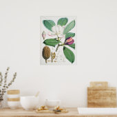  botanische illustratie poster (Keuken)