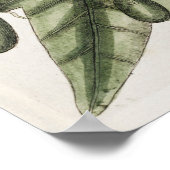  botanische illustratie poster (Hoek)