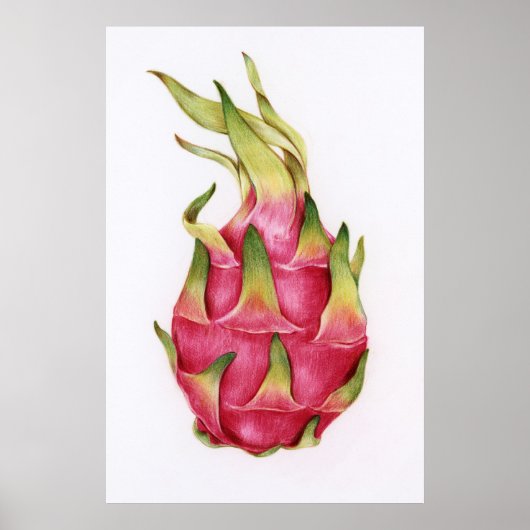 Botanische illustratie poster (Voorkant)