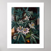 botanische illustratie poster (Voorkant)