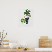 botanische illustratie poster (Keuken)