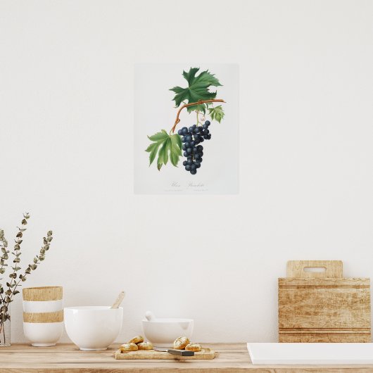  botanische illustratie poster (Keuken)