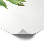 botanische illustratie poster (Hoek)