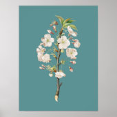 Botanische illustratie poster (Voorkant)