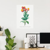  botanische illustratie poster (Thuiskantoor)