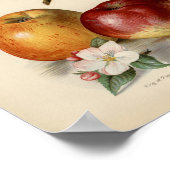  botanische illustratie poster (Hoek)