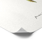  botanische illustratie poster (Hoek)