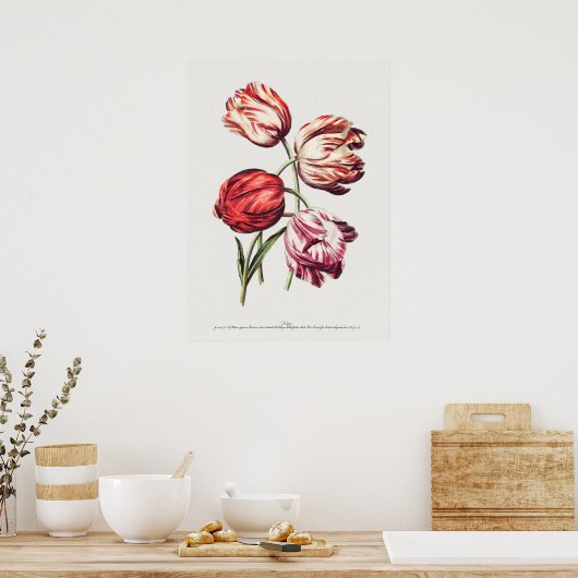 botanische illustratie poster (Keuken)