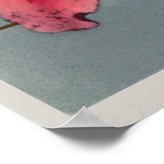 botanische illustratie poster (Hoek)