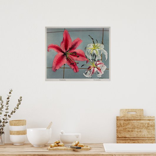  botanische illustratie poster (Keuken)