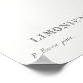  botanische illustratie poster (Hoek)