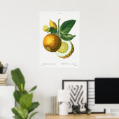  botanische illustratie poster (Thuiskantoor)