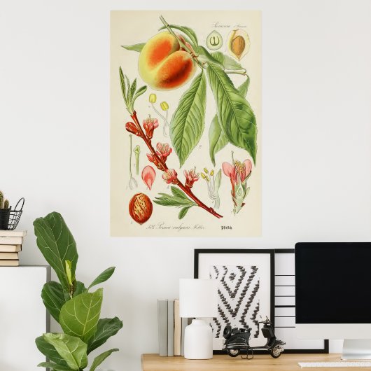  botanische illustratie poster (Thuiskantoor)