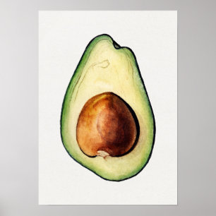 Botanische illustratie Poster