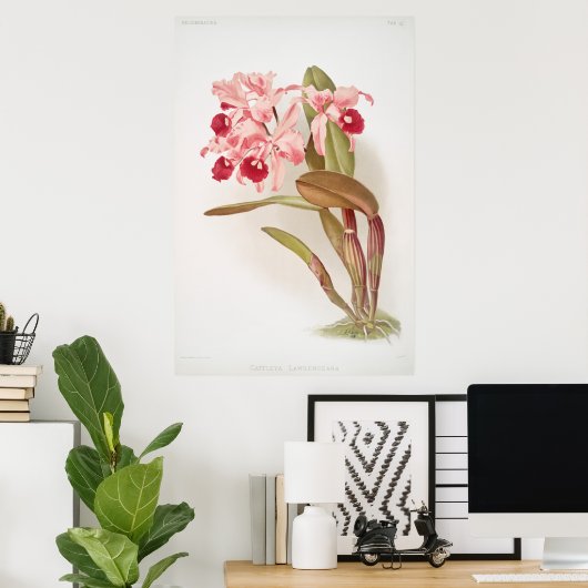 botanische illustratie poster (Thuiskantoor)