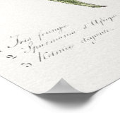  botanische illustratie poster (Hoek)
