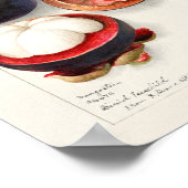  botanische illustratie poster (Hoek)