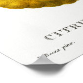 botanische illustratie poster (Hoek)