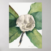  botanische illustratie poster (Voorkant)