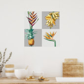  botanische illustratie poster (Keuken)