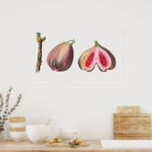 Botanische illustratie poster (Keuken)