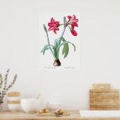  botanische illustratie poster (Keuken)